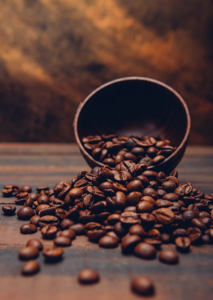 Dark Coffee Beans Bowl